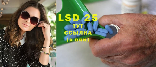 индика Вязьма