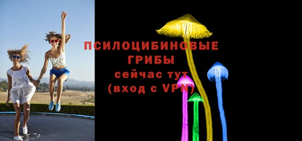 индика Вязьма