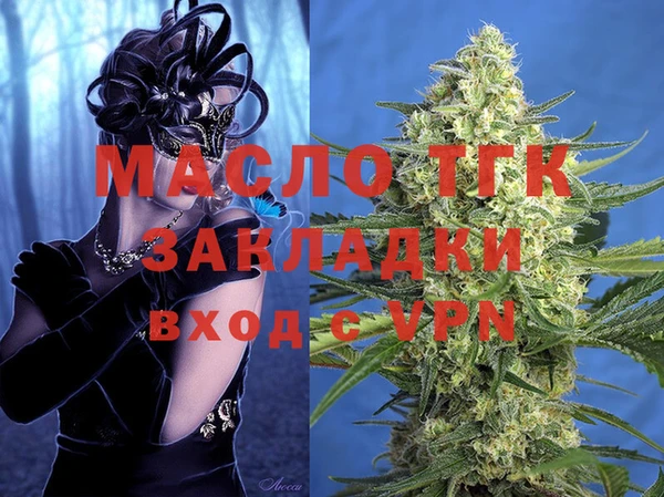 индика Вязьма