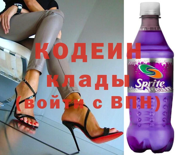 индика Вязьма
