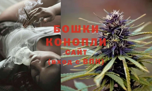 PSILOCYBIN Вязники