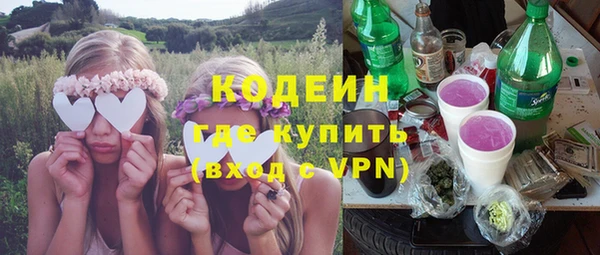 индика Вязьма
