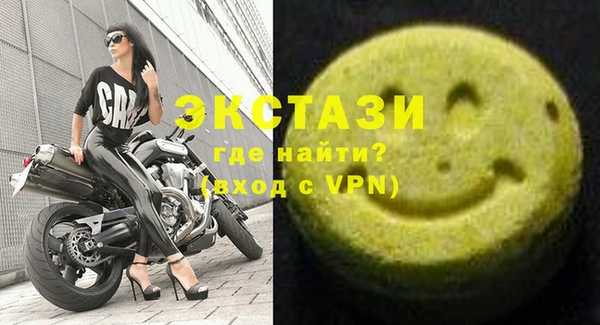 индика Вязьма