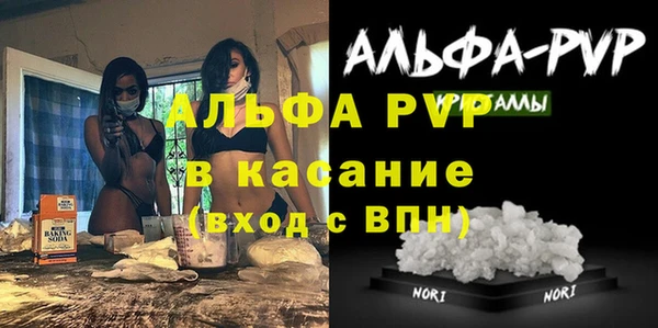 PSILOCYBIN Вязники