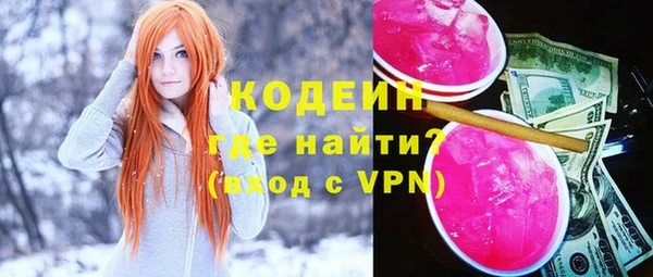 индика Вязьма