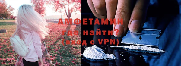 индика Вязьма