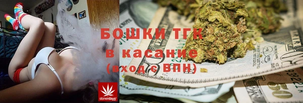 индика Вязьма