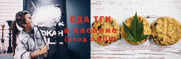 индика Вязьма