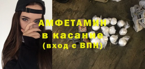 индика Вязьма