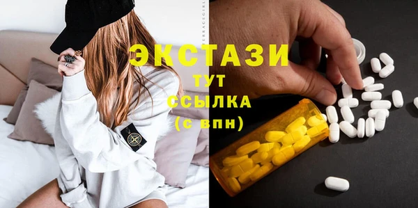 индика Вязьма